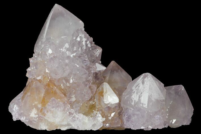 Cactus Quartz (Amethyst) Crystal Cluster - South Africa #132480